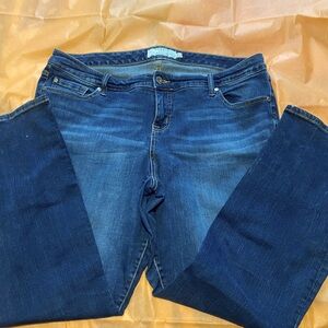 Torrid bootcut jean